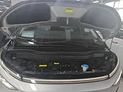 2025 Xpeng X9 EV 702 4WD High Performance Max — фото 20
