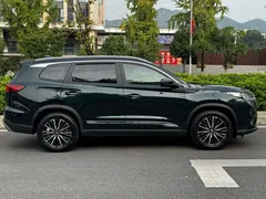 2022 Chery Tiggo 8 Pro 290T 2WD 7-seat, зелёный — фото 27