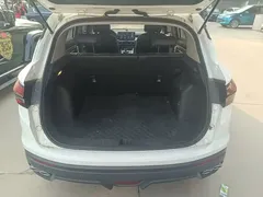 2023 Geely Coolray 1.5T DCT Platinum, белый — фото 19