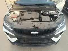 2023 Geely Coolray 1.5T DCT Platinum, белый — фото 20