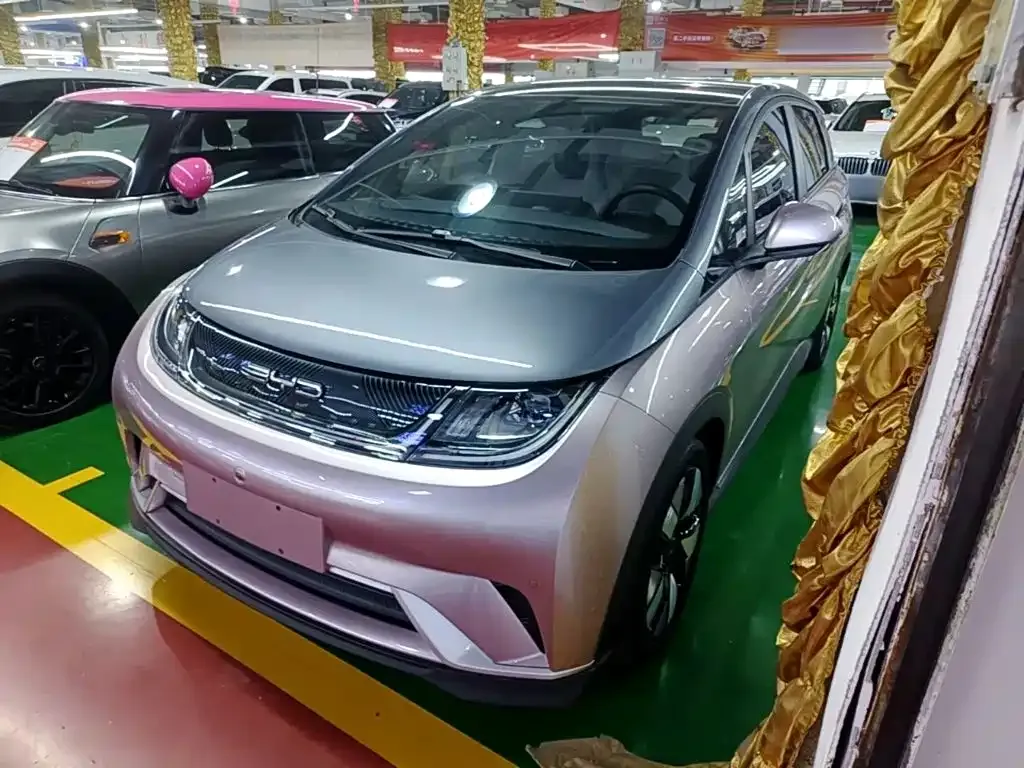 2023 BYD Dolphin 401km Knight