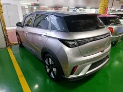 2023 BYD Dolphin 401km Knight, чёрный — фото 5
