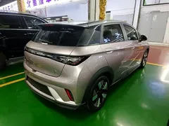 2023 BYD Dolphin 401km Knight, чёрный — фото 7