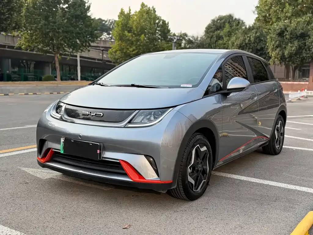 2021 BYD Dolphin 405km Fashion