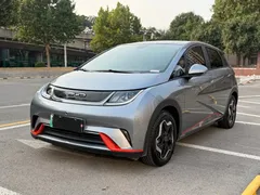 2021 BYD Dolphin 405km Fashion — фото 1