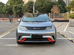 2021 BYD Dolphin 405km Fashion — фото 2