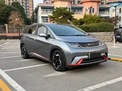 2021 BYD Dolphin 405km Fashion — фото 3