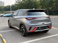 2021 BYD Dolphin 405km Fashion — фото 4
