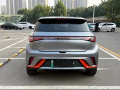 2021 BYD Dolphin 405km Fashion — фото 5