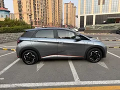 2021 BYD Dolphin 405km Fashion — фото 7