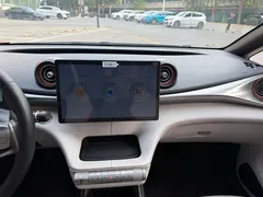 2021 BYD Dolphin 405km Fashion — фото 16