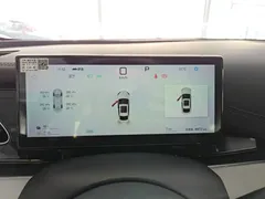 2025 BYD Seal 06 DM-i PHEV 120KM Smart Driving Premium, белый — фото 12