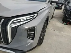 2024 Hongqi HS7 2.0T PHEV 4WD 6 — фото 24