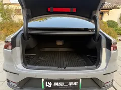 2025 BYD Han PHEV 125km Elite — фото 29