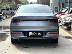 2024 BYD Qin PLUS Honor EV 510km Leading — фото 9