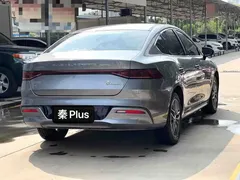 2024 BYD Qin PLUS Honor EV 510km Leading — фото 10