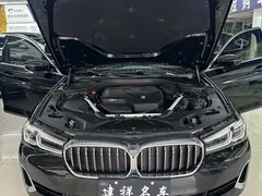 2021 BMW 5 Series 530Li Leading Luxury Package, чёрный — фото 16