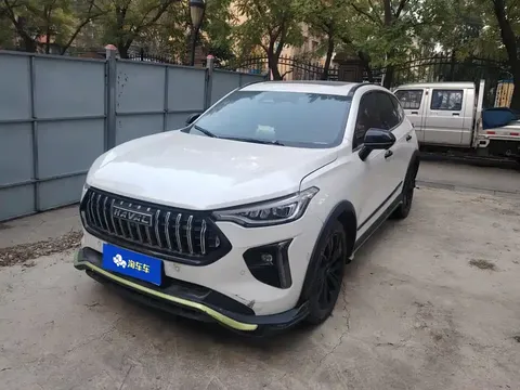 2021 Haval Chitu 1.5T Jiqing Platinum Rabbit