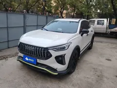 2021 Haval Chitu 1.5T Jiqing Platinum Rabbit, белый — фото 1