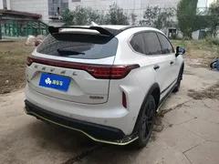 2021 Haval Chitu 1.5T Jiqing Platinum Rabbit, белый — фото 3