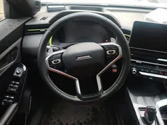 2021 Haval Chitu 1.5T Jiqing Platinum Rabbit, белый — фото 15