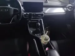 2021 Geely Coolray 1.4T MT Gold — фото 16