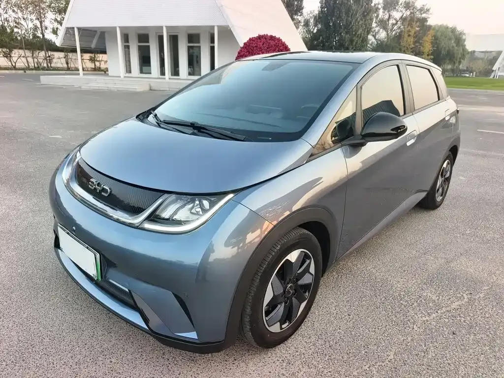 2024 BYD Dolphin Honor 420km Fashion