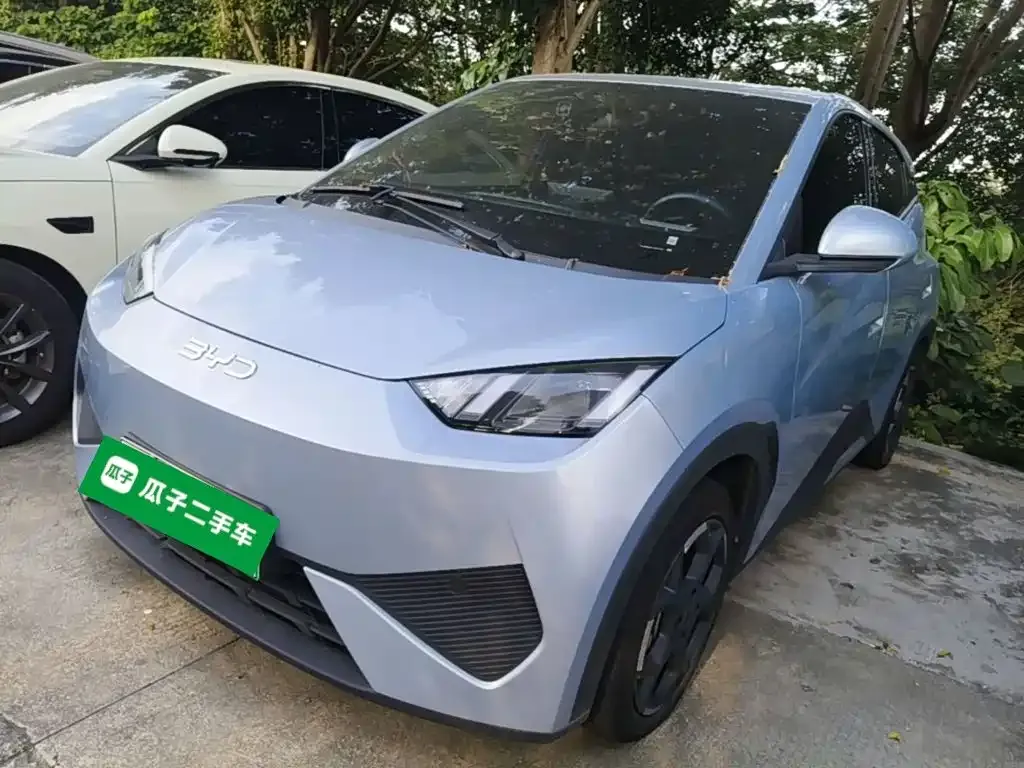2025 BYD Seagull Smart Driving 405km Freedom