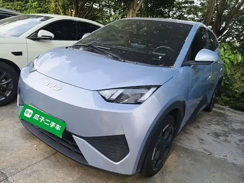 2025 BYD Seagull Smart Driving 405km Freedom