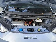 2025 BYD Seagull Smart Driving 405km Freedom, синий — фото 20