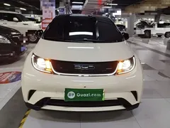 2023 BYD Dolphin 420km Freedom — фото 3