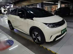 2023 BYD Dolphin 420km Freedom — фото 4