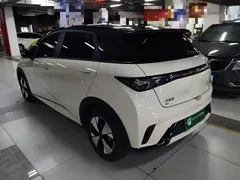 2023 BYD Dolphin 420km Freedom — фото 5