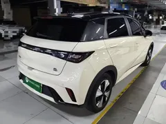 2023 BYD Dolphin 420km Freedom — фото 7