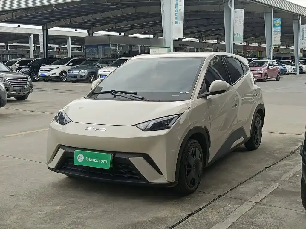 2023 BYD Seagull Vitality