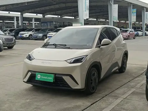 2023 BYD Seagull Vitality