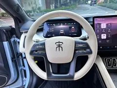 2024 BYD Song L EV 550km Exceed, синий — фото 7