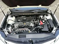 2019 Toyota Camry 2.0G Luxury, белый — фото 14