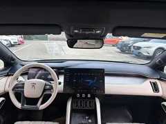2024 BYD Song L EV 662km Excellence — фото 12