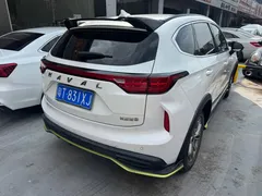 2022 Haval Chitu 1.5T, белый — фото 6