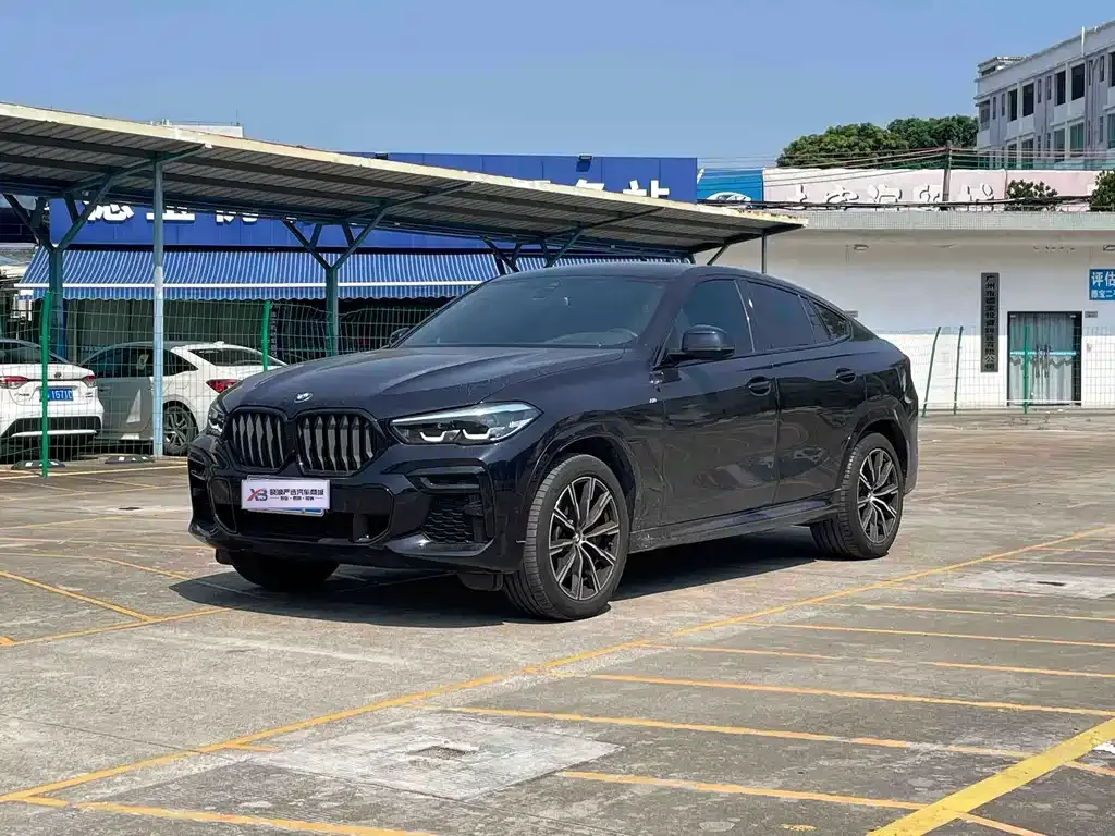 2022 BMW X6