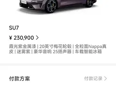 2024 Xiaomi SU7 RWD Long Range Smart Driving — фото 11