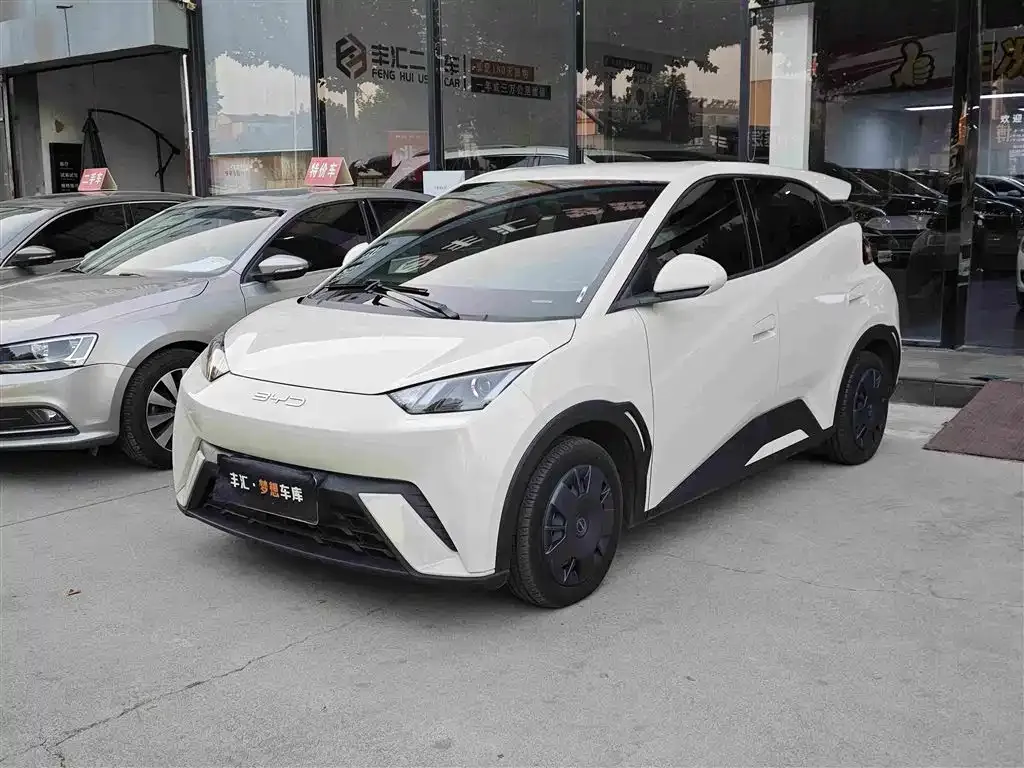 2024 BYD Seagull Honor 305km Vitality