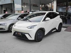2024 BYD Seagull Honor 305km Vitality, белый — фото 1