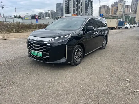 2025 BYD Xia DM-i PHEV 1.5T 180km Excellence