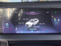 2022 Chery Tiggo 8 Pro 290TGDI DCT — фото 14