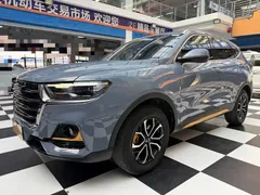 2021 Haval H6 1.5T AT Guochao Urban — фото 1