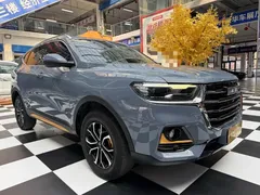 2021 Haval H6 1.5T AT Guochao Urban — фото 4