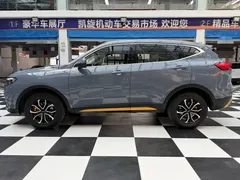 2021 Haval H6 1.5T AT Guochao Urban — фото 5