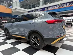 2021 Haval H6 1.5T AT Guochao Urban — фото 6